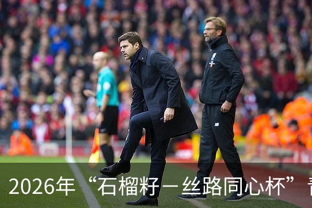 2026年“石榴籽－丝路同心杯”青少年足球邀请赛即将开赛